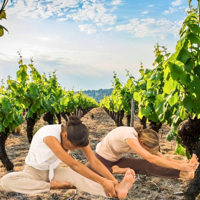 Détente dans un cadre exceptionnel : Yoga dans les Vignes , Dimanches 27 Avril et 22 Juin